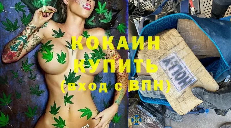 сколько стоит  Грайворон  Cocaine FishScale 