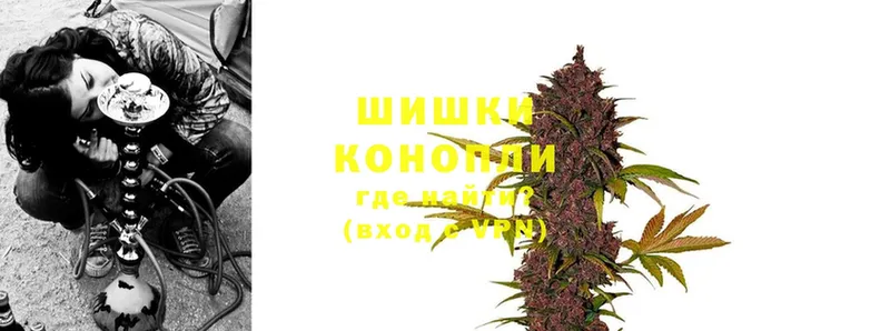 mega ССЫЛКА  продажа наркотиков  Грайворон  Бошки марихуана Ganja 